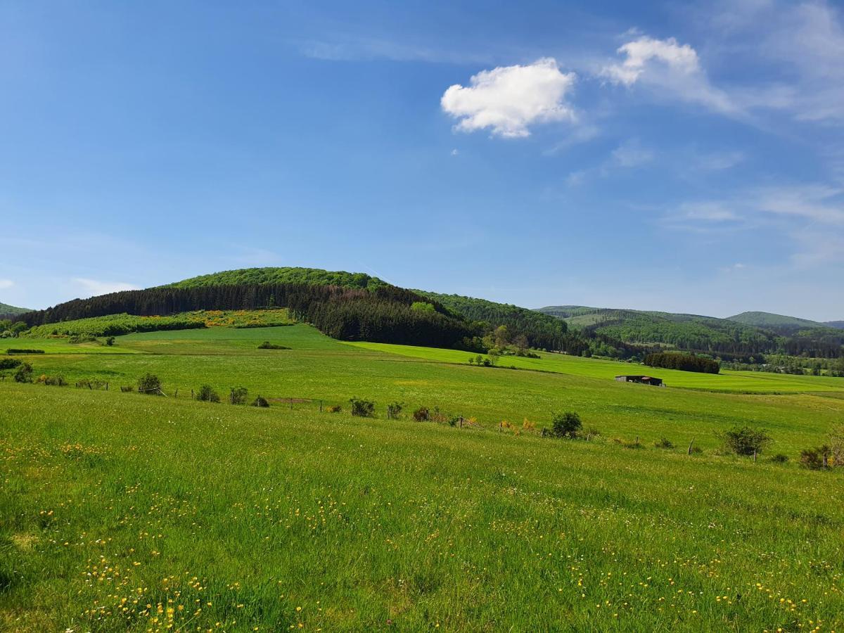 梅德巴赫Fewo Talula - Sauerland Mit Hund公寓 外观 照片