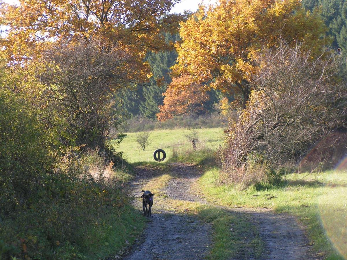 梅德巴赫Fewo Talula - Sauerland Mit Hund公寓 外观 照片